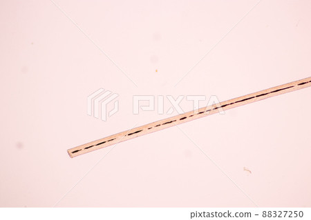 Characteristics of Hair cell of human under microscope view for education in laboratory. Characteristics of Hair cell of human under microscope view for education in laboratory. 88327250