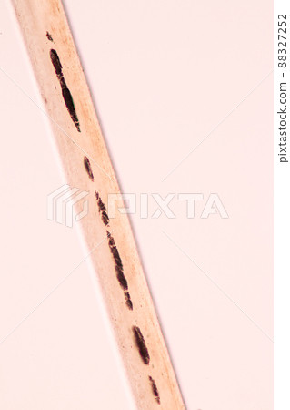 Characteristics of Hair cell of human under microscope view for education in laboratory. Characteristics of Hair cell of human under microscope view for education in laboratory. 88327252