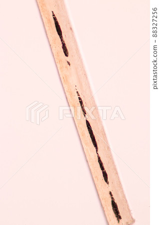 Characteristics of Hair cell of human under microscope view for education in laboratory. Characteristics of Hair cell of human under microscope view for education in laboratory. 88327256