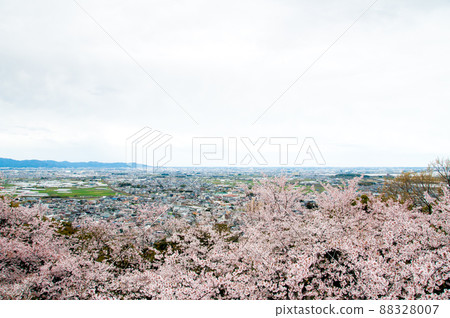 Mitsuyama Mitsuyama 88328007