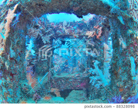 魚礁 魚礁 88328098