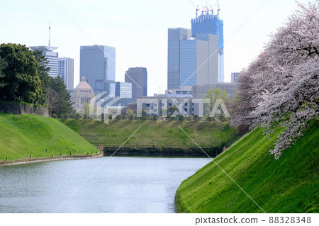 [東京]從皇居千鳥淵公園看到的國會大廈（春天） 88328348