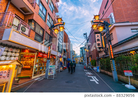 View of "Asakusa Chuo Dori" from Tokyo Cityscape of Japan, Denpoin Dori (Denpoin Dori) 88329056