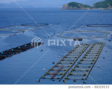 Many farms in Kashiwajima Many farms in Kashiwajima 88329153