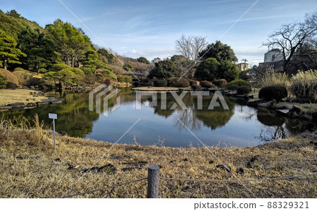 小石川植物園(東京大學小石川植物園(東京大學研究生院植物園)冬景,令和 2 月 4 日 小石川植物園(東京大學小石川植物園(東京大學研究生院植物園)冬景,令和 2 月 4 日 88329321