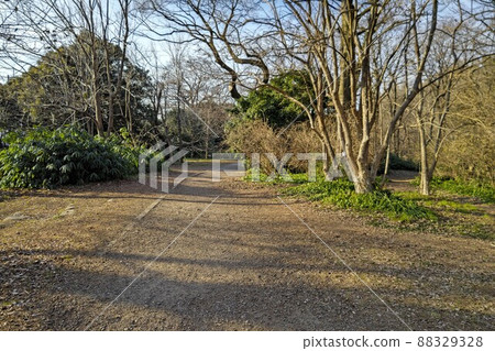Koishikawa Botanical Garden (Koishikawa Botanical Garden, Tokyo University (Botanical Garden, Graduate School of Science, The University of Tokyo) Winter scenery, February 4th year of Reiwa 88329328