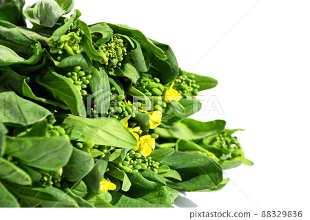 Natsuka(娜娜) Natsuka(娜娜) 88329836