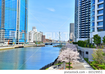 Reimei Ohashi / Looking toward Reimei Bridge from the Asashio Canal (Chuo-ku, Tokyo) [2022.2] 88329951