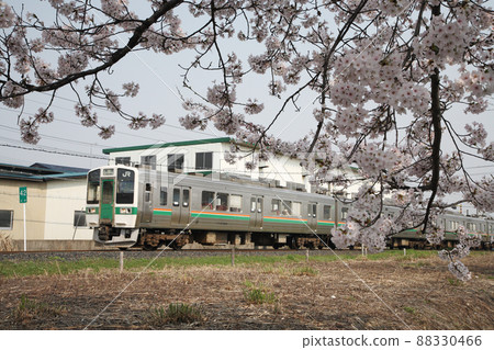 開著櫻花的火車 開著櫻花的火車 88330466
