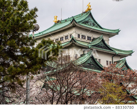Castle (Nagoya Castle) Castle (Nagoya Castle) 88330780