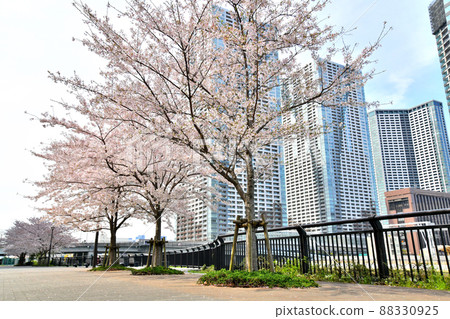 從朝潮運河水上公園（東京都中央區）看黎明大橋和勝哄[2022.4] 88330925