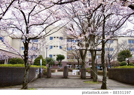 Tama City Nishiochiai Elementary School 88331197