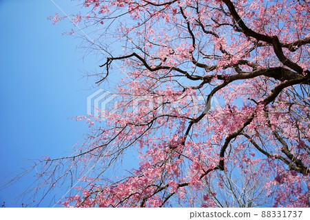 Copy space of double sky and blue sky Copy space of double sky and blue sky 88331737