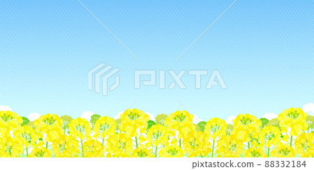 背景素材油菜花藍天 背景素材油菜花藍天 88332184