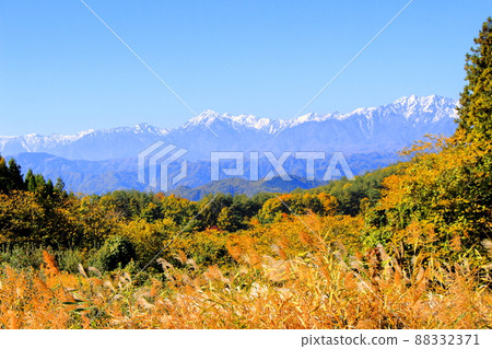 蘋果田和北阿爾卑斯山 秋天的蘋果田 美麗的北阿爾卑斯山 蘋果田和北阿爾卑斯山 秋天的蘋果田 美麗的北阿爾卑斯山 88332371