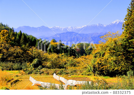 蘋果田和北阿爾卑斯山 秋天的蘋果田 美麗的北阿爾卑斯山 88332375