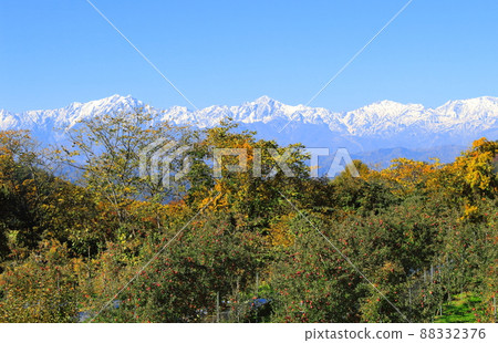 蘋果田和北阿爾卑斯山 秋天的蘋果田 美麗的北阿爾卑斯山 蘋果田和北阿爾卑斯山 秋天的蘋果田 美麗的北阿爾卑斯山 88332376