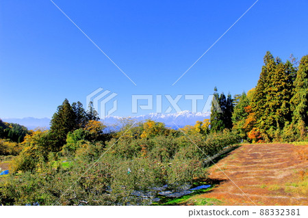 蘋果田和北阿爾卑斯山 秋天的蘋果田 美麗的北阿爾卑斯山 蘋果田和北阿爾卑斯山 秋天的蘋果田 美麗的北阿爾卑斯山 88332381
