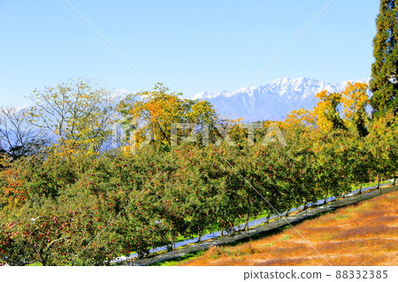 蘋果田和北阿爾卑斯山 秋天的蘋果田 美麗的北阿爾卑斯山 蘋果田和北阿爾卑斯山 秋天的蘋果田 美麗的北阿爾卑斯山 88332385