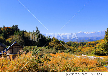 蘋果田和北阿爾卑斯山 秋天的蘋果田 美麗的北阿爾卑斯山 蘋果田和北阿爾卑斯山 秋天的蘋果田 美麗的北阿爾卑斯山 88332390