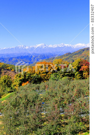 蘋果田和北阿爾卑斯山 秋天的蘋果田 美麗的北阿爾卑斯山 88332407