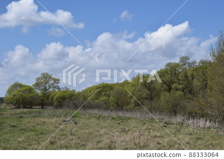 Calm tranquil village meadow landscape. Local travel concept. Calm tranquil village meadow landscape. Local travel concept. 88333064