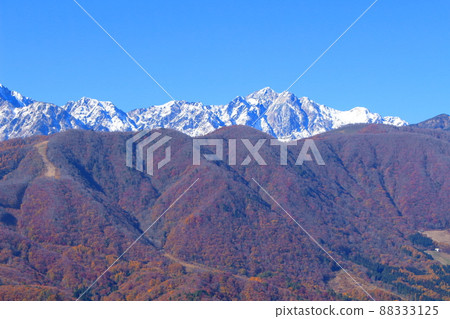 Beautiful Northern Alps: Autumn leaves in Shinshu: Lake Aoki in autumn leaves 88333125