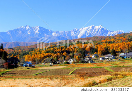 Beautiful Northern Alps: Autumn leaves in Shinshu: Mountain village of autumn leaves 88333337
