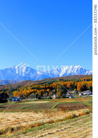 Beautiful Northern Alps: Autumn leaves in Shinshu: Mountain village of autumn leaves 88333346