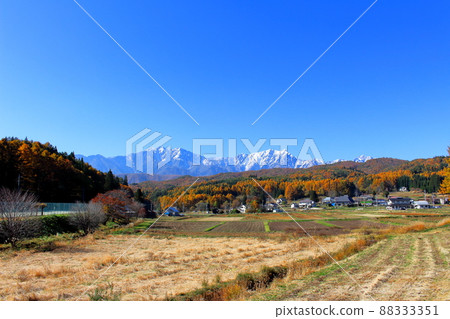 Beautiful Northern Alps: Autumn leaves in Shinshu: Mountain village of autumn leaves Beautiful Northern Alps: Autumn leaves in Shinshu: Mountain village of autumn leaves 88333351