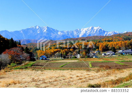 Beautiful Northern Alps: Autumn leaves in Shinshu: Mountain village of autumn leaves Beautiful Northern Alps: Autumn leaves in Shinshu: Mountain village of autumn leaves 88333352