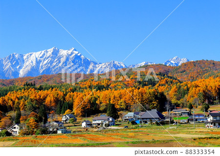 Beautiful Northern Alps: Autumn leaves in Shinshu: Mountain village of autumn leaves Beautiful Northern Alps: Autumn leaves in Shinshu: Mountain village of autumn leaves 88333354
