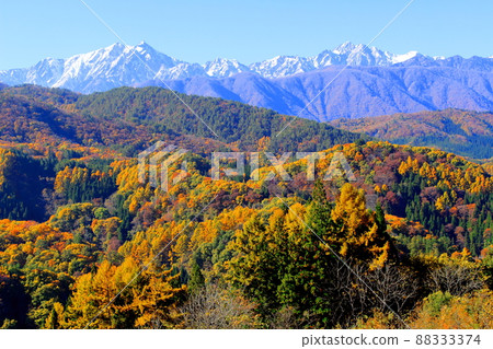 Beautiful Northern Alps: Autumn leaves in Shinshu: Mountain village of autumn leaves 88333374
