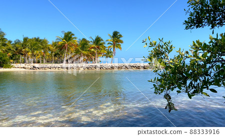 Beautiful beach with palm trees on the Florida Keys Beautiful beach with palm trees on the Florida Keys 88333916
