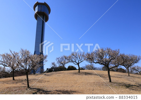 Scenery of ancient lotus village observation tower and plum grove in Gyoda City, Saitama Prefecture 88334015