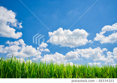 [Osaka] August, blue sky and summer rural scenery 88334101