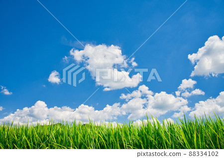 [大阪]八月藍天夏日田園風光 88334102