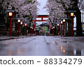 Washinomiya Shrine Spring Dawn 5 88334279