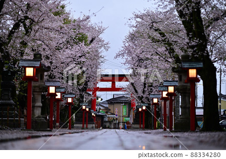和宮神社春天黎明4 和宮神社春天黎明4 88334280