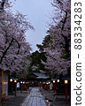 Washinomiya Shrine Spring Dawn 2 88334283