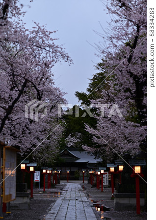 和宮神社春曉2 和宮神社春曉2 88334283