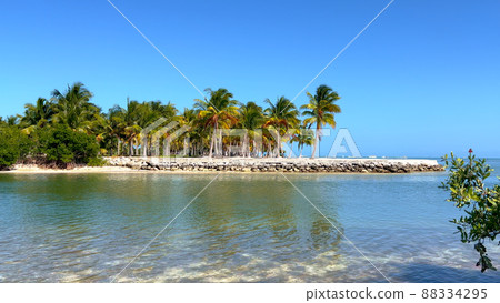 Beautiful beach with palm trees on the Florida Keys 88334295