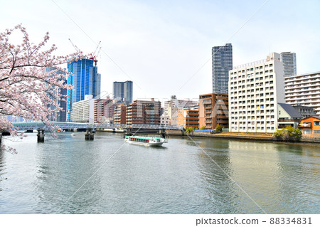從春月橋（東京都中央區）眺望特里頓橋[2022.4] 88334831