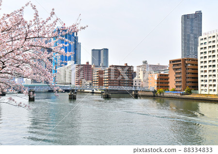 從春月橋（東京都中央區）眺望特里頓橋[2022.4] 88334833