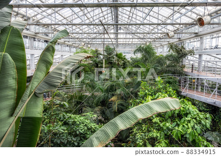 Donggungwon botanic garden Donggungwon botanic garden 88334915