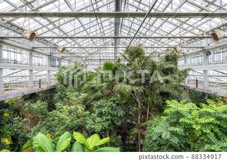 Donggungwon botanic garden Donggungwon botanic garden 88334917