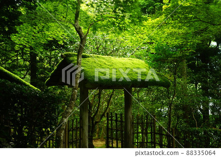 京都 Jakkoin 的苔蘚花園 京都 Jakkoin 的苔蘚花園 88335064