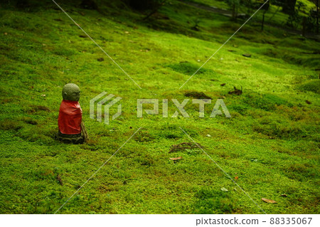 Moss garden in Jakkoin, Kyoto 88335067