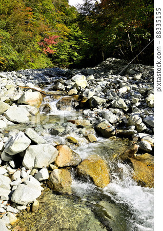 A mountain stream in the Tanzawa Mountains, Hinokihoramaru's Gora Sawa encounter A mountain stream in the Tanzawa Mountains, Hinokihoramaru's Gora Sawa encounter 88335155