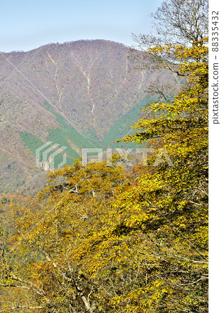 Tanzawa's Ishitana mountain ridge overlooking Mt. Omuro from the head of Teshirono in autumn colors Tanzawa's Ishitana mountain ridge overlooking Mt. Omuro from the head of Teshirono in autumn colors 88335432